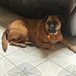 Meet your Posher, T&g